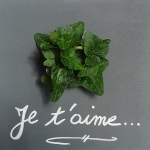 "Je t'aime" surface ardoise